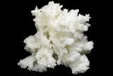 Sparkling Cave Calcite (Aragonite) Formation - Potosi Mine, Mexico #213991-1